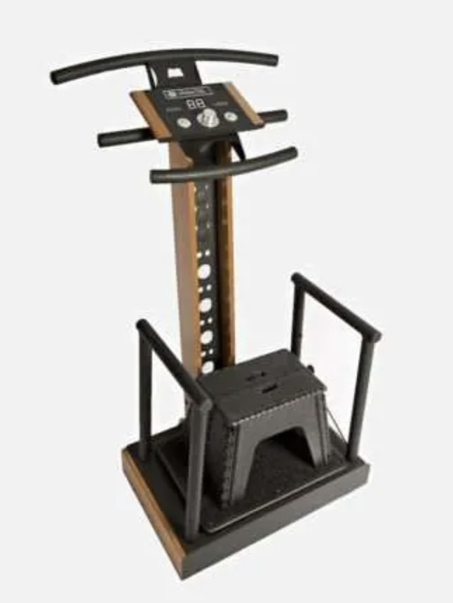 LifetimeVibe® Vibrasonic Endermatherapie device